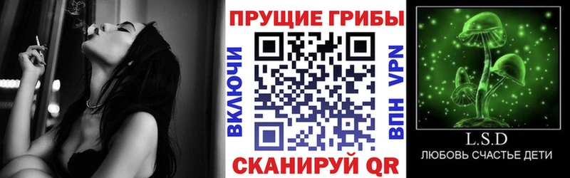 цены наркотик  Кыштым  Галлюциногенные грибы Magic Shrooms 