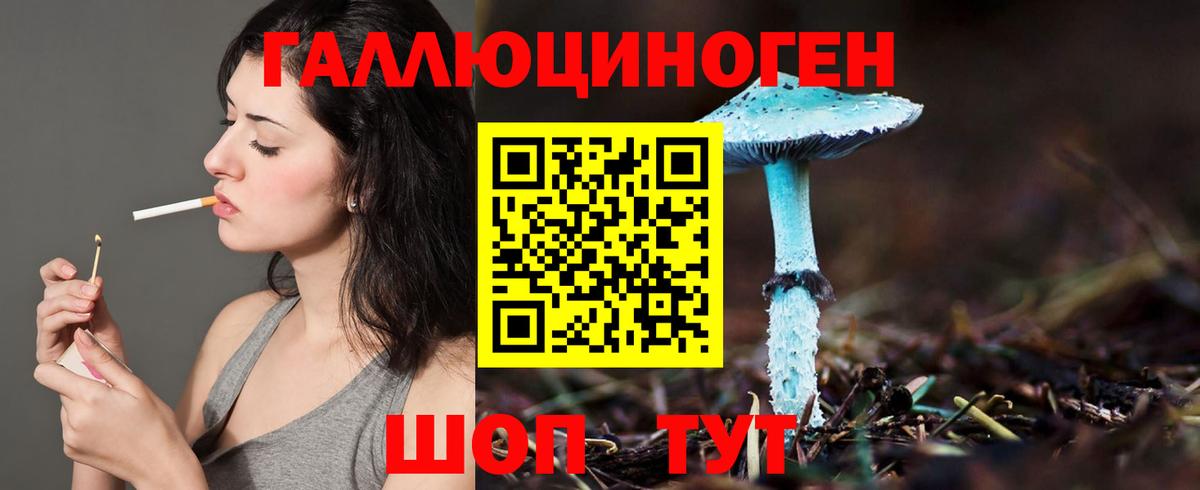 Псилоцибиновые грибы мицелий Кыштым
