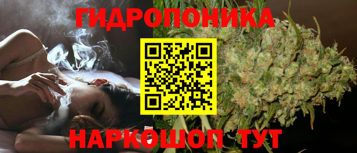 Кыштым  Канабис конопля  Вход с VPN  Конопля White Widow  Конопля THC 21%  Марихуана Amnesia 